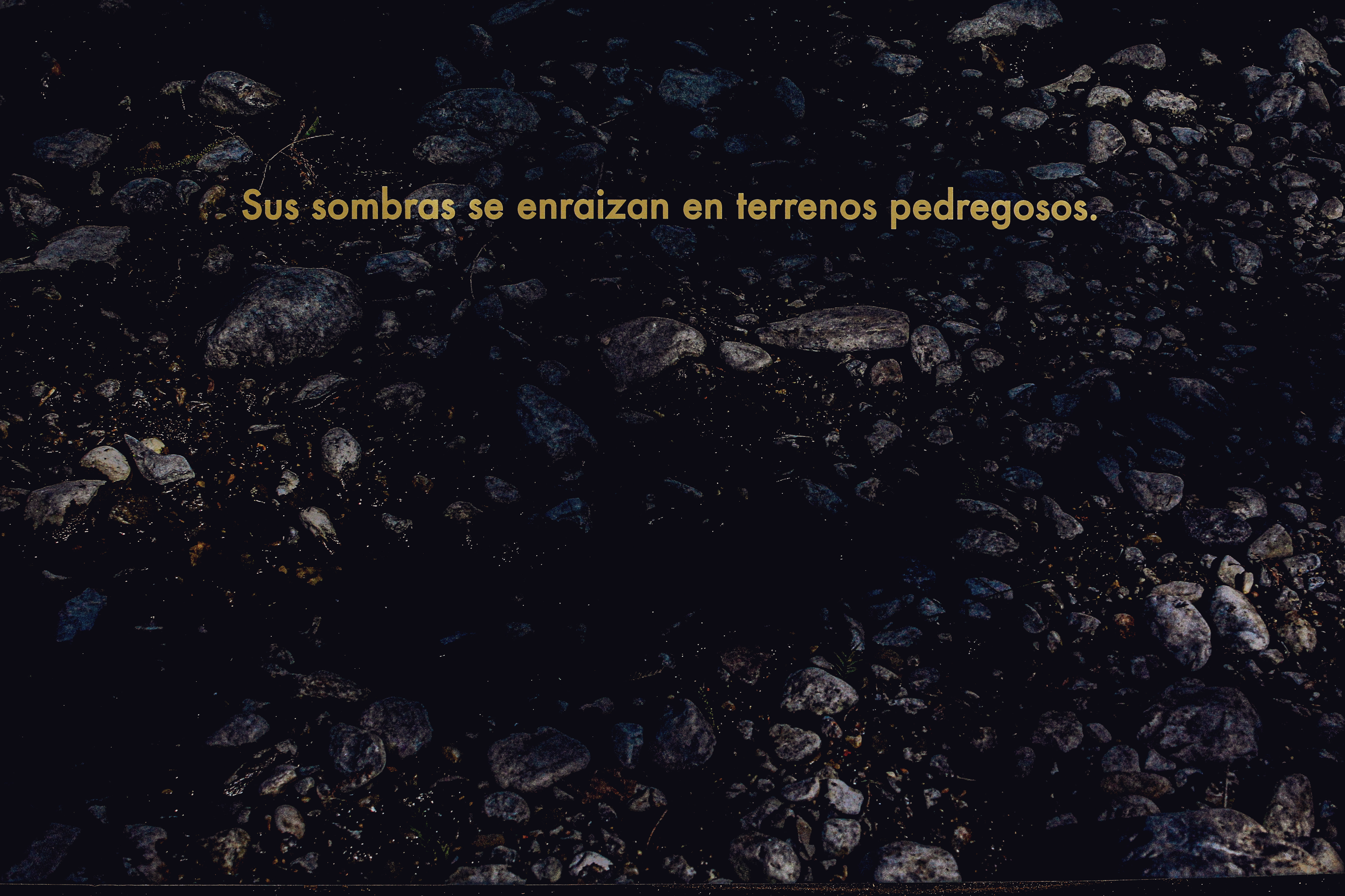 Fotos