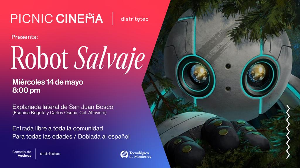 Picnic Cinema | Mayo