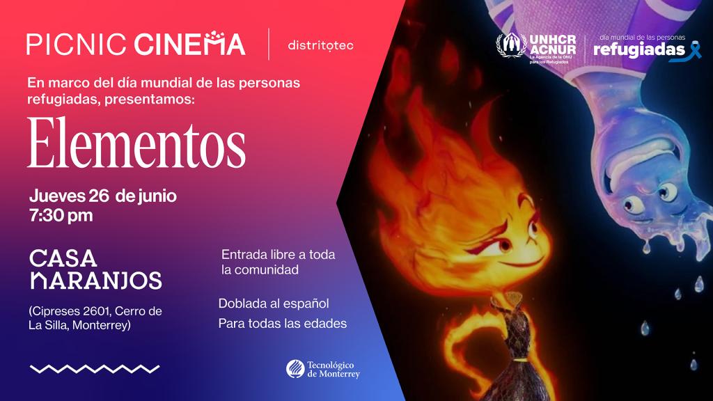 Picnic Cinema | ACNUR | Elementos